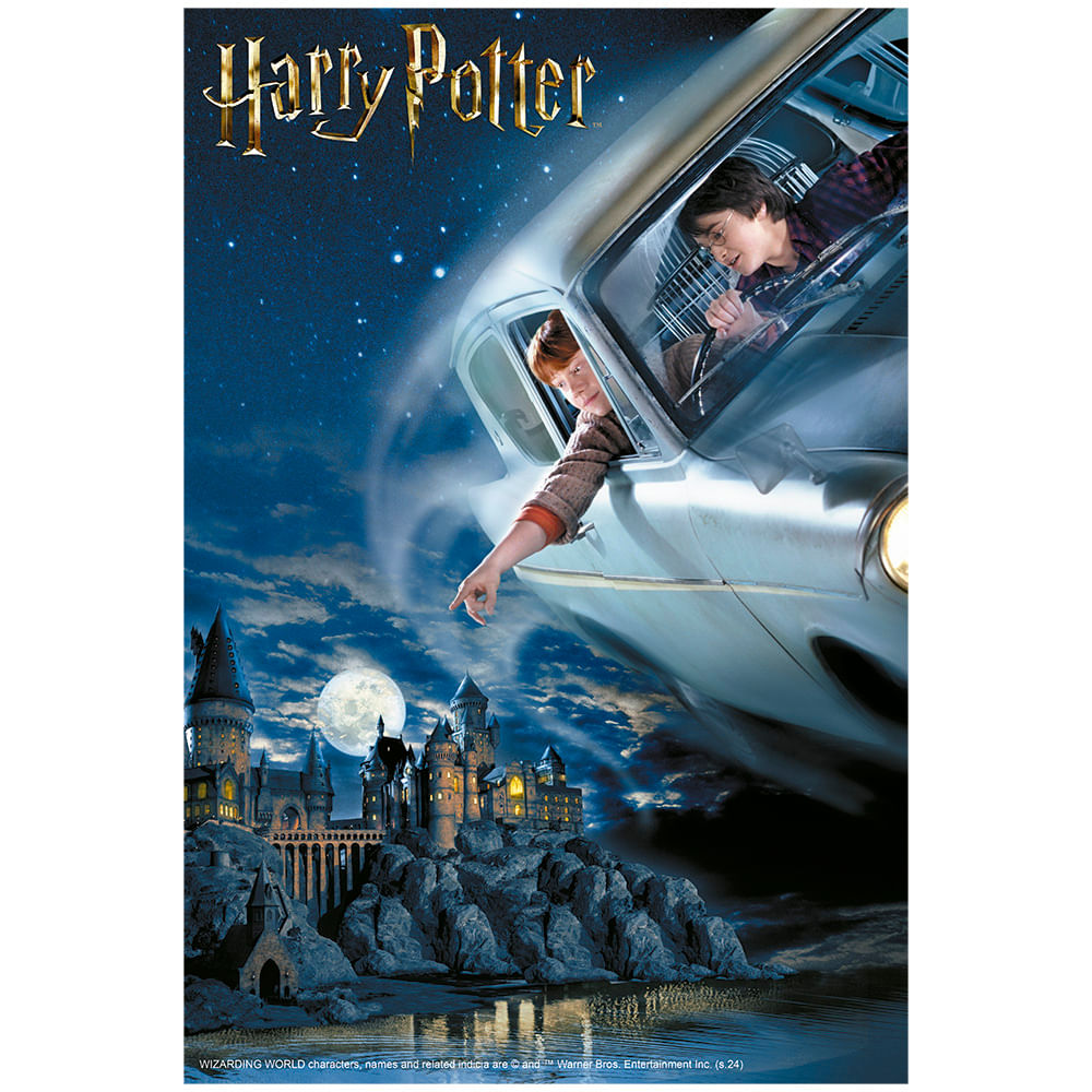 04567_GROW_P200_Harry_Potter_M