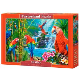 Puzzle 2000 Peças Encontro das Aves - Castorland Importado 2008702