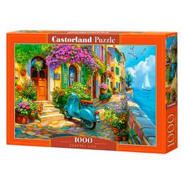 Puzzle 1000 Peças Vida Costeira Castorland 105465