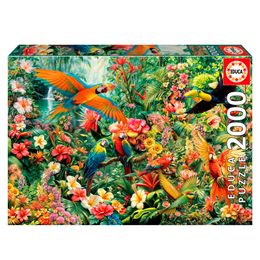 Puzzle 2000 Peças Aves da Amazonia - Educa 20574